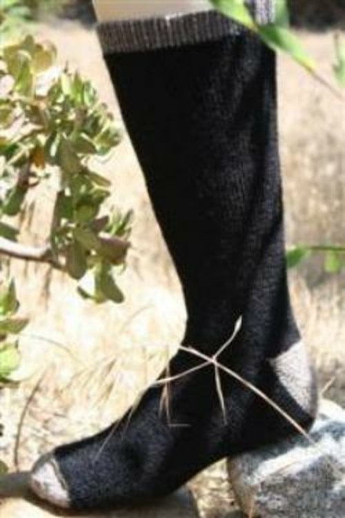 Alpaca Trail Sock โ Made in USA - Image 3